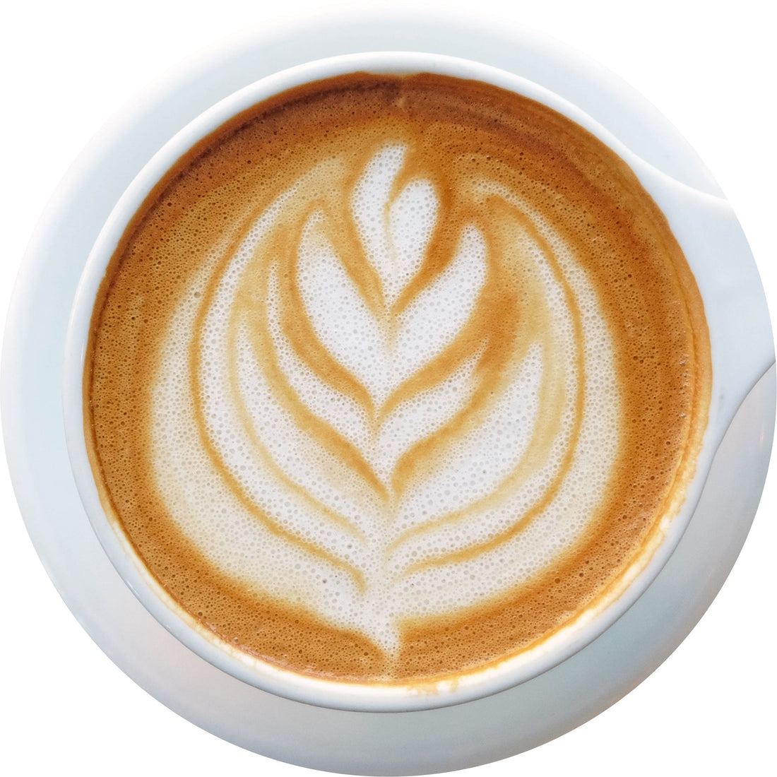 The Smart Choice for Coffee Shops: JOI Scoopable Oat Milk Creamers