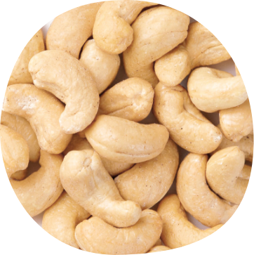 Cashew